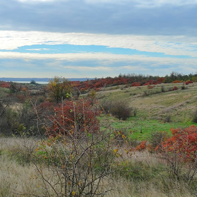 Продаж земельної ділянки 0 соток на ул. Массив 36, 6 Августівка - фото 15