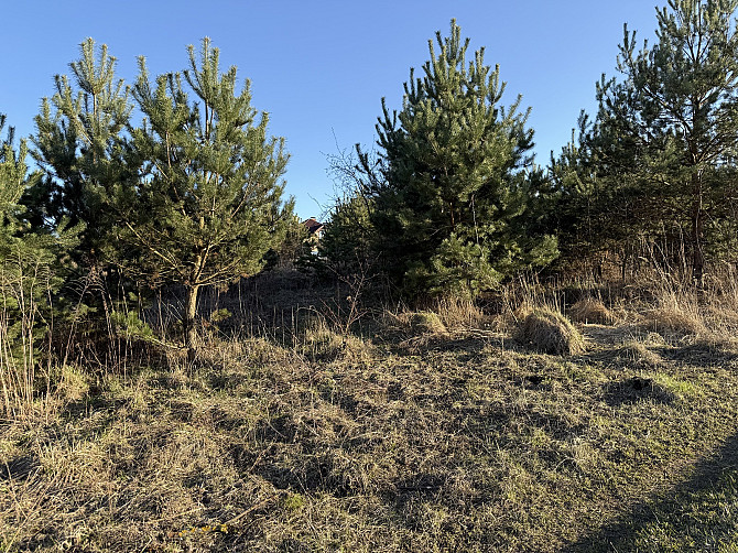 Продається земельна ділянка в пригороді Тернополя. Байківці - фото 12