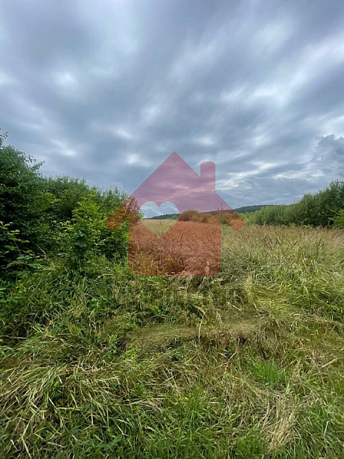 Продаж земельної ділянки 0 соток на Камяниця  - photo 5