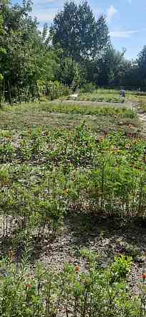 Продаж земельної ділянки 8 соток на Новогуйвинське Zhytomyr