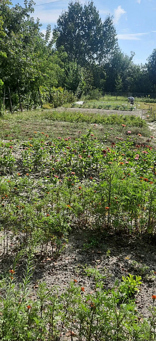 Продаж земельної ділянки 8 соток на Новогуйвинське Zhytomyr - photo 1