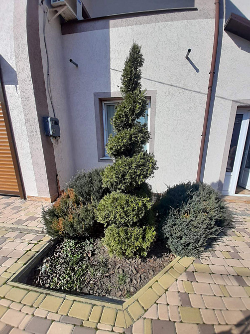 Дом в Нерубайске, 15 минут от Одессы, рядом Усатово, Слободка Нерубайське - фото 14