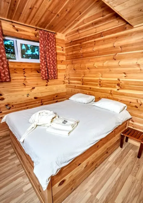 382 House for rent with swimming pool Kiev - photo 7