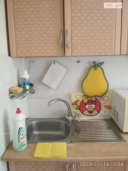 Оренда Квартира 1-кімнатна, 4/9 поверх на Харьковское шоссе, 170 а Київ - фото 10