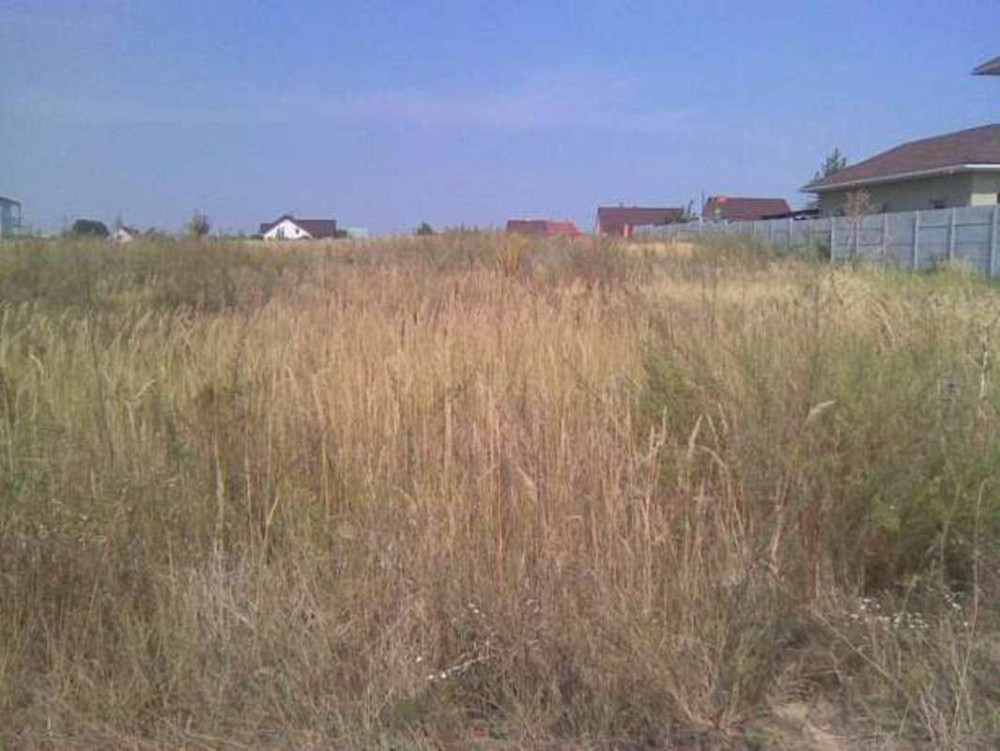 Продаж земельної ділянки 15 соток  - фото 2