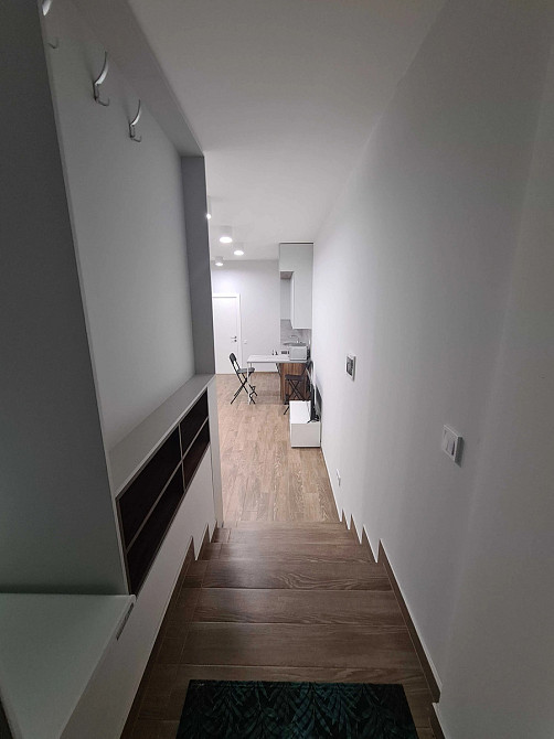 Оренда Квартира 1-кімнатна, 1/7 поверх на вул. Сергія Колоса, 3 Київ - фото 9