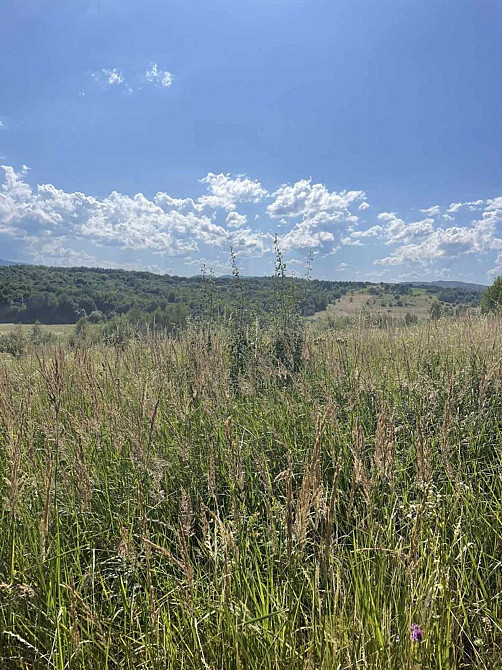 Продаж земельної ділянки 25 соток на Щорса Verbovets - photo 3