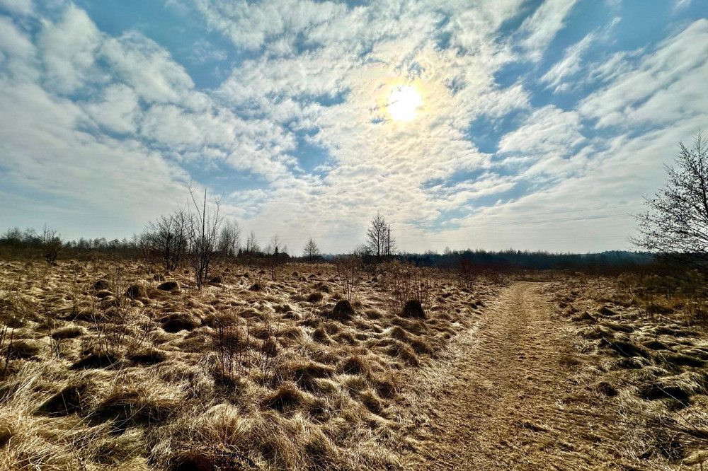 Продаж земельної ділянки 86 соток Солонка - фото 7