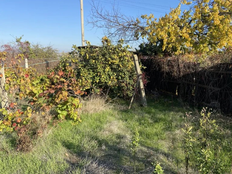 Продам дом в Вапнярке Vapniarka (Kominternivskyi raion) - photo 11