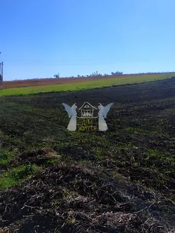 Продажа земельного участка  площадь 54 сот Лісна бічна вулиця  - изображение 6