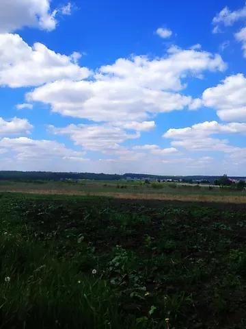 Продажа земельного участка  площадь 18.8 сот Михайла Вербицького вулиця  - изображение 6