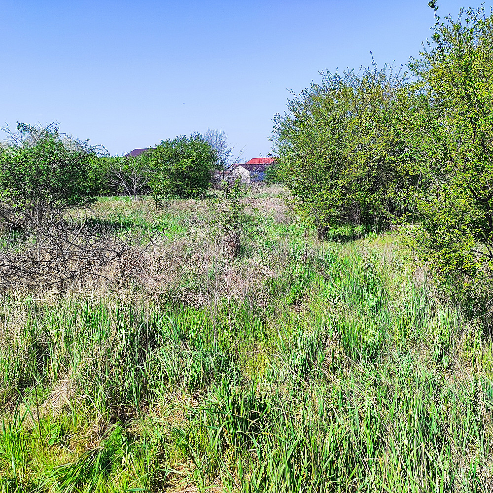 Продам большой дом-дуплекс в с. Нерубайское. Нерубайське - фото 13