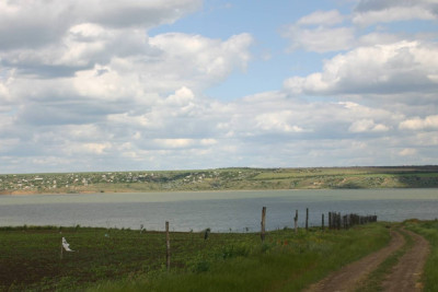 Продаж земельної ділянки 0.2 соток на ул. Зелёная, 11 Єлизаветівка (Роздільнянський район) - фото 7