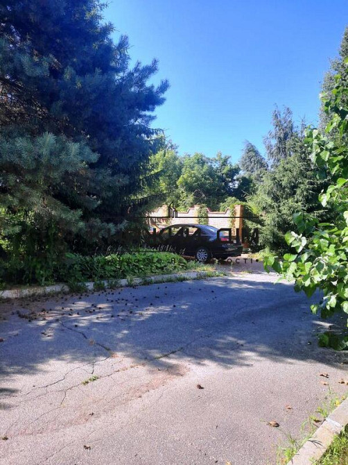 Шикарный большой дом с бассейном с.Малая Александровка.Код:229476  - фото 8