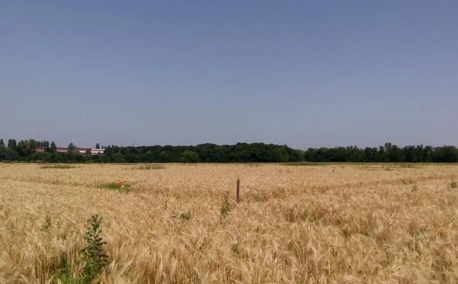 Продаж земельної ділянки 10 соток на АН Купи Дім Кропивницький - фото 4