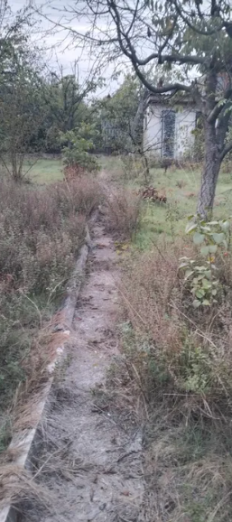 Продам дачу на берегу Аджалыкского лимана (Новодофиновский кооператив) Нова Дофінівка - фото 7