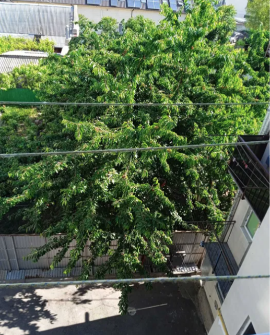 Однокомнатная квартира на Раскидайловской Одеса - фото 9