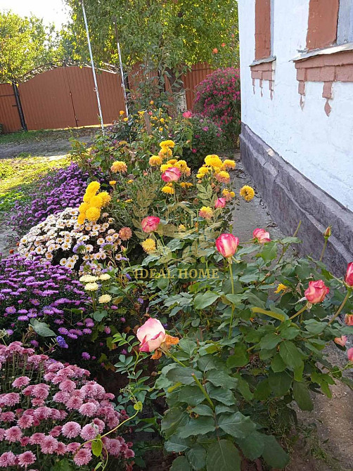 Продам будинок у Житних Горах  - фото 5