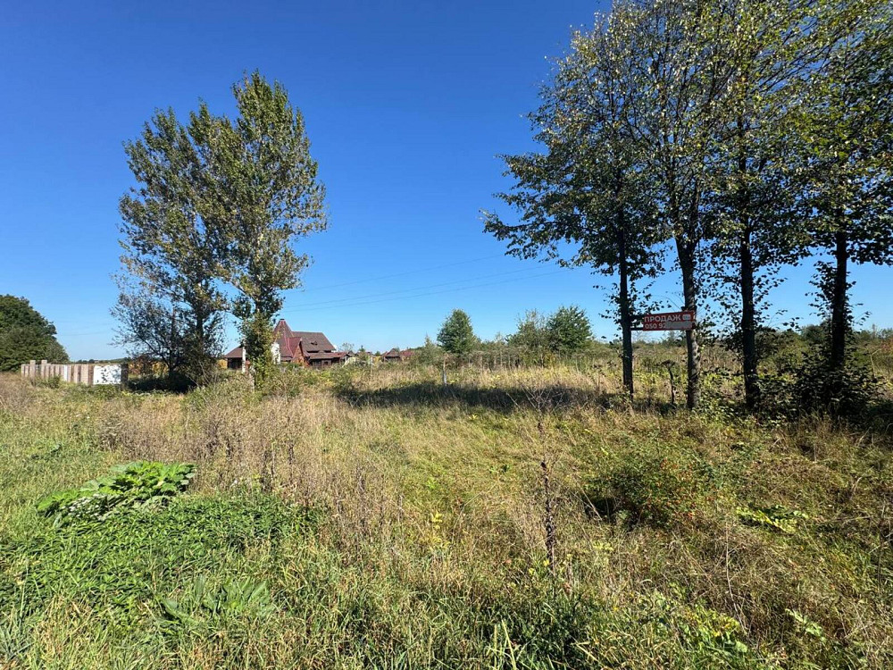 Продаж земельної ділянки 1.1 га Tsutsyliv - photo 5