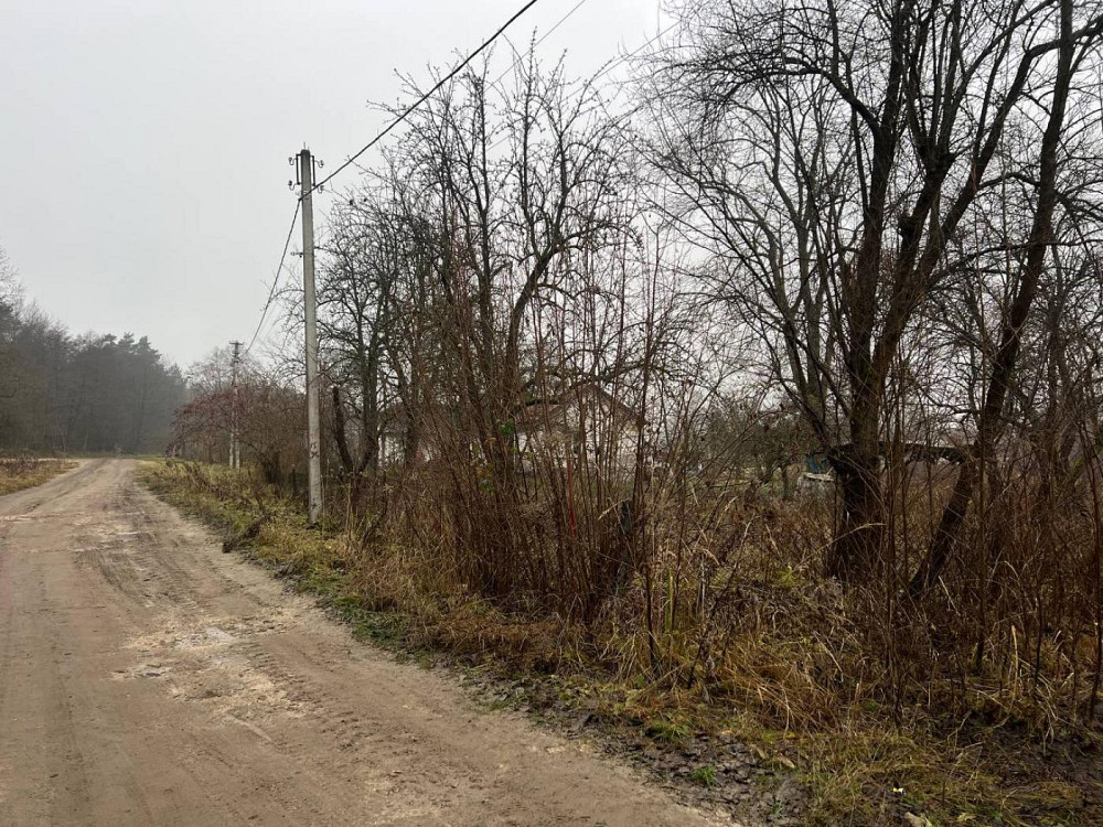 Продаж земельної ділянки 23 соток на вул. Лісова  - фото 2