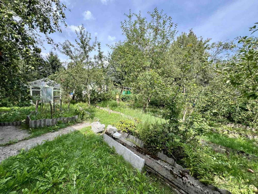 Продаж Будинок 3-кімнатний Липники (Мостиський район) - фото 4