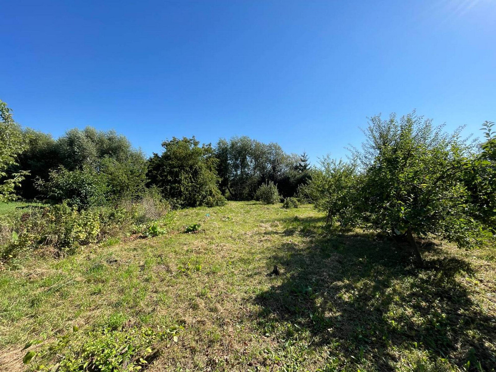 Продаж великого будинку у передмісті Тернополя  - фото 20