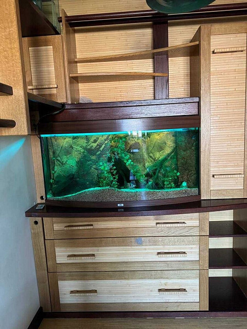 Оренда Квартира 1-кімнатна, 10/16 поверх на Григоренко Петра просп., 5 Киев - изображение 7