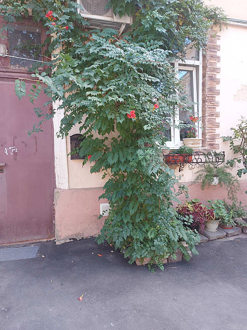 Ваш выбор на ул. Княжеская: простор и тишина Одесса - изображение 1