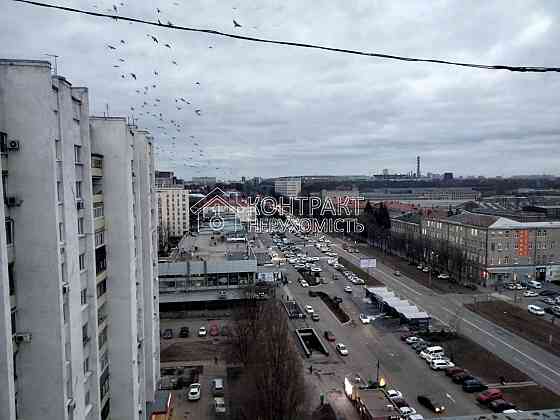 Оренда Квартира 1-кімнатна, 13/14 поверх на вул. Георгія Тарасенка Kharkiv