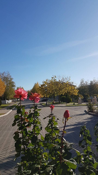 Продаж Будинок на вул. Затишна Chornomors'ke - photo 12