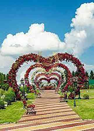 Продаж земельної ділянки 29 соток на Колхозная ул., 14 Устимівка