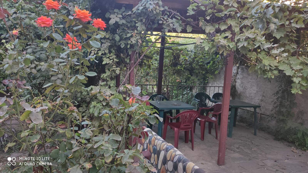 Дача в Затоке. Затока - изображение 13