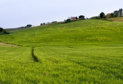 Продаж земельної ділянки 0.1 соток на Авангард-2, 152 Прилиманське - фото 1