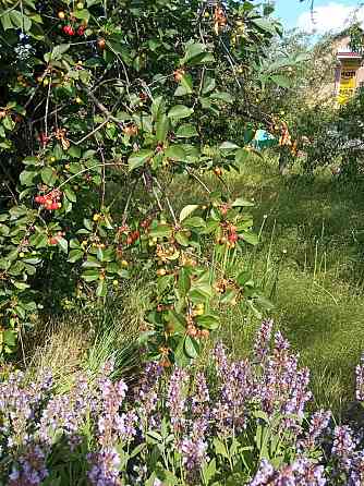 Терміновий продаж Кропивницький