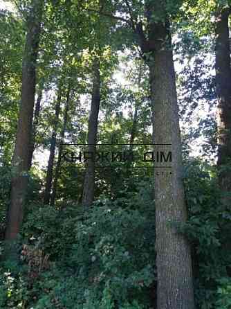 Продаж земельної ділянки 16 соток Protsiv