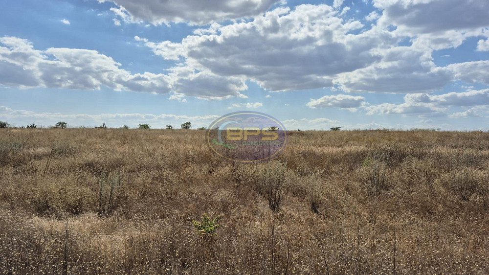 Продаж земельної ділянки 3.64 га Прилиманське - фото 3