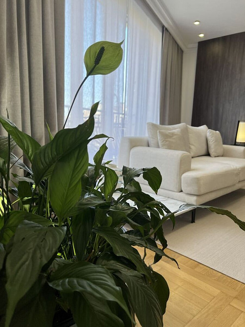 Продаж Квартира 3-кімнатна, 4/6 поверх на вул. Площа Ринок, 1 Івано-Франківськ - фото 15