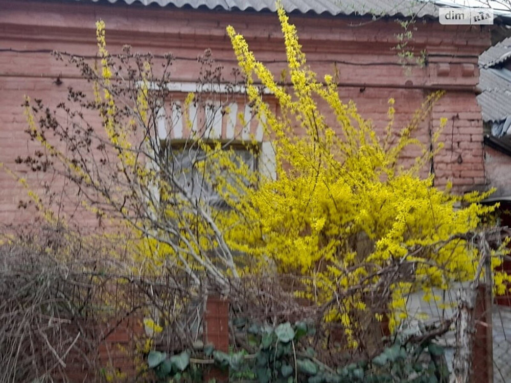 Продаж Будинок на Некрасова, 71 Вінниця - фото 2