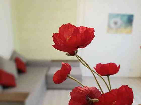 Оренда Квартира 1-кімнатна, 7/26 поверх на ул. Михаила Драгоманова Киев