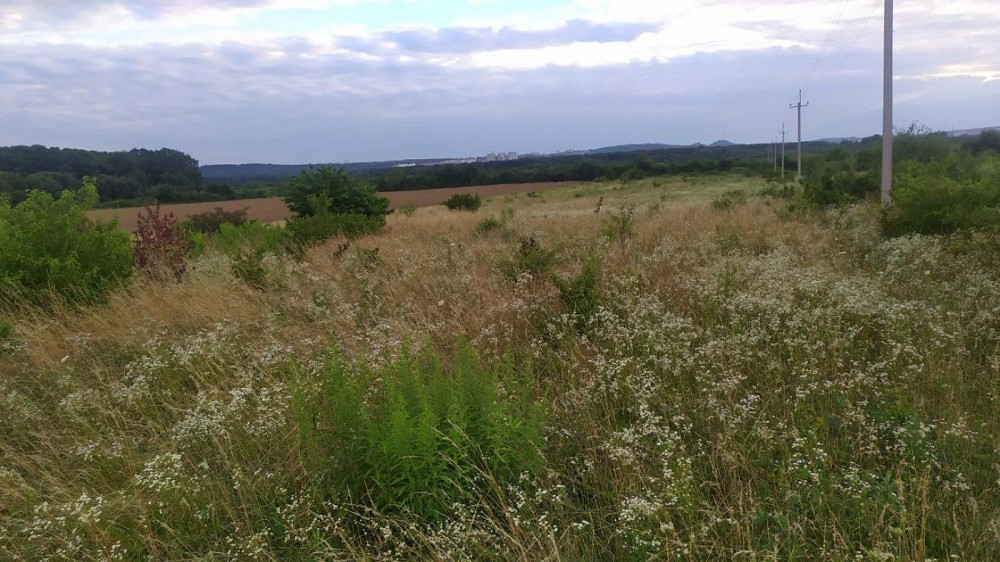 Продаж земельної ділянки 8 соток Ямпіль - фото 4