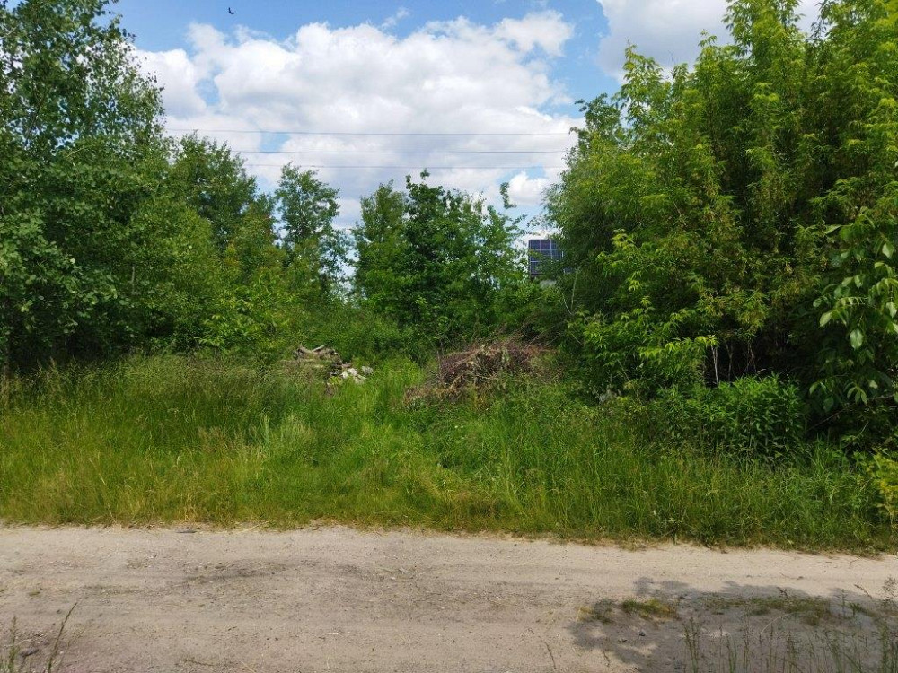 Продаж земельної ділянки 25 соток на Дениші Житомир - фото 2