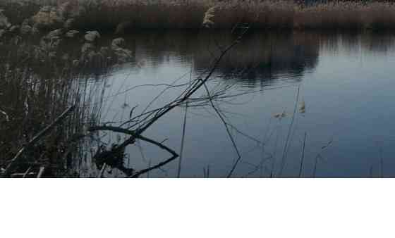 Продаж земельної ділянки 4 га на улица Луговая, д. Мотижин