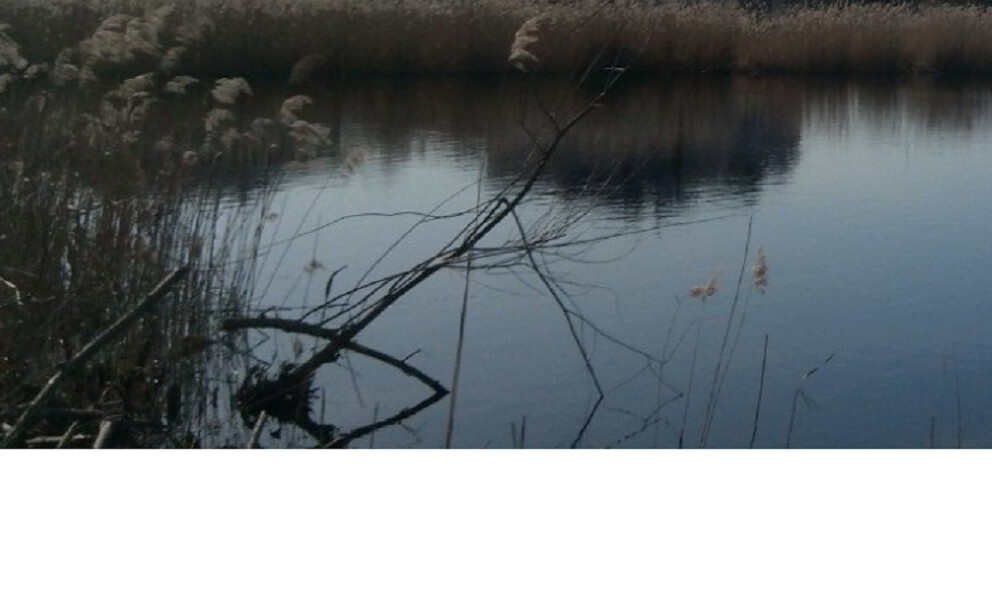 Продаж земельної ділянки 4 га на улица Луговая, д. Мотижин - изображение 3