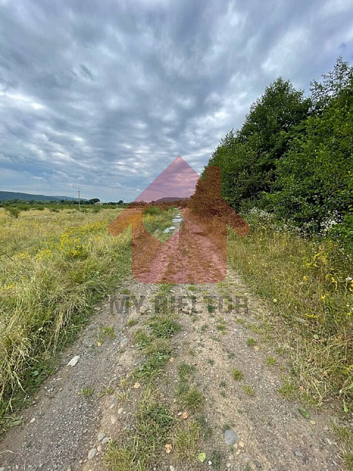 Продаж земельної ділянки 0 соток на Невицьке  - photo 8