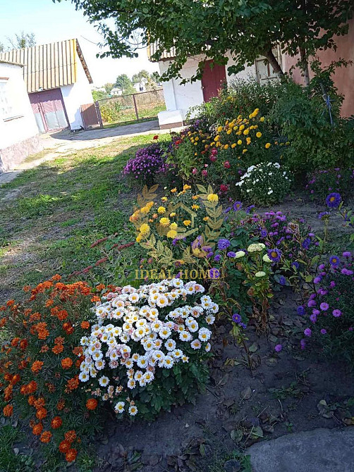 Продам будинок у Житних Горах  - фото 11