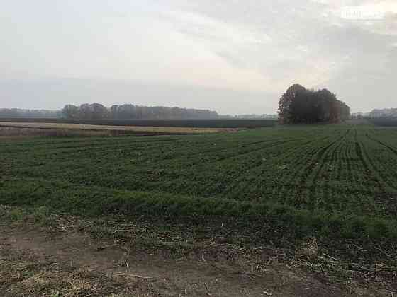 Продаж земельної ділянки 10 соток на Смілянська Вінниця