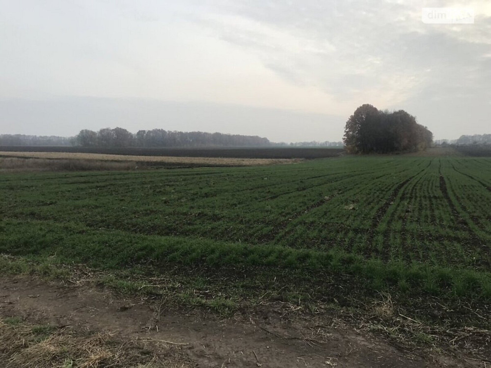 Продаж земельної ділянки 10 соток на Смілянська Вінниця - фото 4