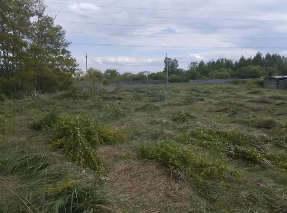 Продаж земельної ділянки 18 соток на Богдана Хмельницького Zhytomyr - photo 1