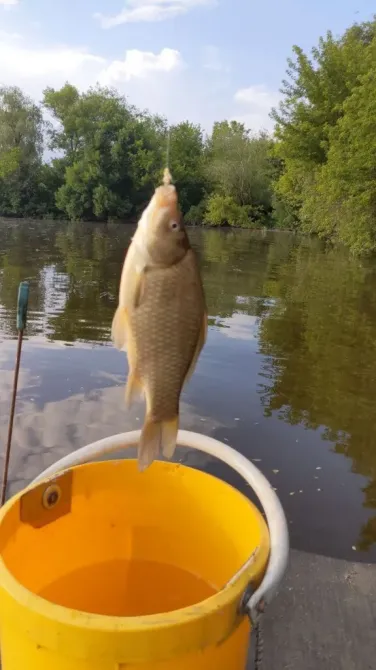 Продаж 2-поверховий Будинок з ділянкою 8 сот 110 кв.м 4 кімн. на вул. Гаванська Дніпро - фото 16