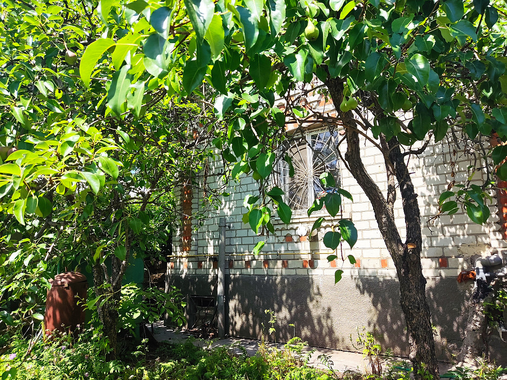 Продается жилой дом с.  Нерубайское (НАТИ) Нерубайське - фото 9